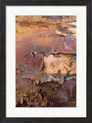 Framed Graffiti and Rust on Old Train Cars Print