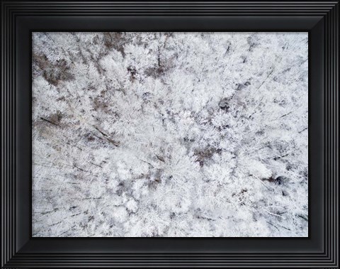 Framed Aerial View of Snow-Covered Trees, Marion County, Illinois Print