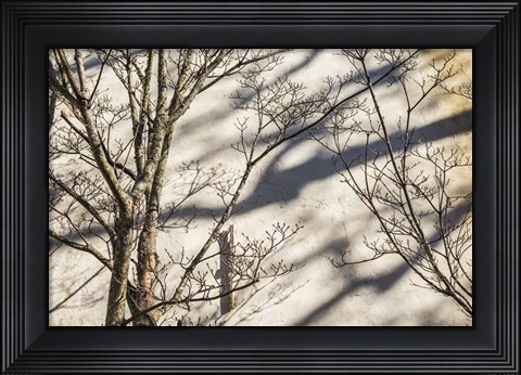 Framed Wall Detail, Nantucket Island Print