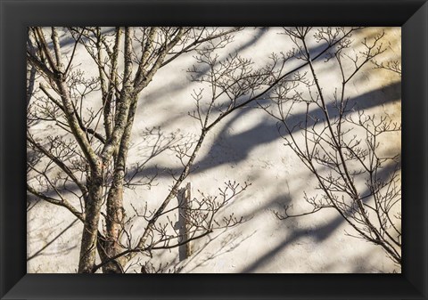 Framed Wall Detail, Nantucket Island Print