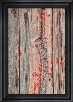 Framed Close-up of Knot Hole Print