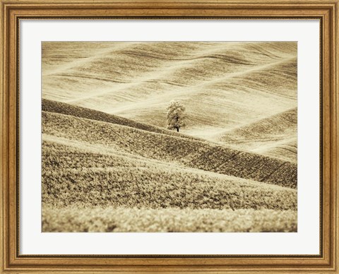 Framed Infrared of Lone Tree in Wheat Field 2 Print