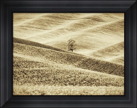Framed Infrared of Lone Tree in Wheat Field 2 Print