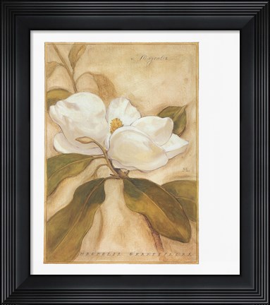 Framed Magnolia Print
