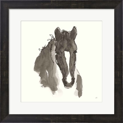 Framed Horse Portrait III Print