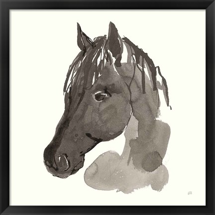 Framed Horse Portrait II Print