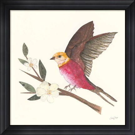 Framed Birds and Blossoms IV Print