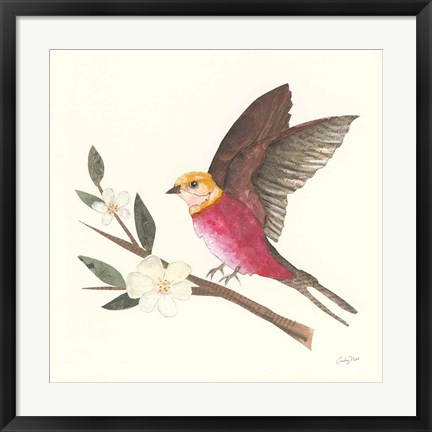 Framed Birds and Blossoms IV Print