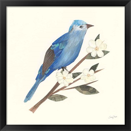 Framed Birds and Blossoms III Print