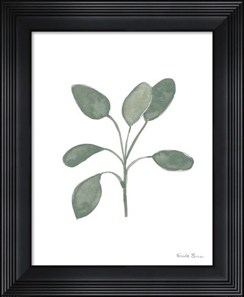 Framed Fresh and Green VII Dark Print