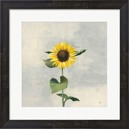 Framed Sunny Blooms II Print