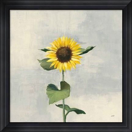 Framed Sunny Blooms II Print
