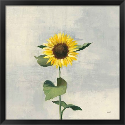 Framed Sunny Blooms II Print