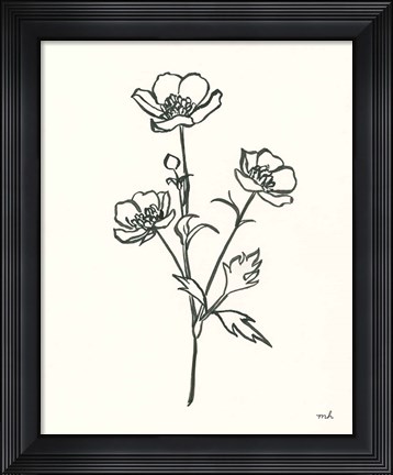 Framed Buttercup Print