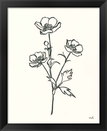 Framed Buttercup Print