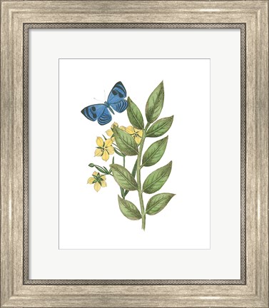 Framed Greenery Butterflies IV Print