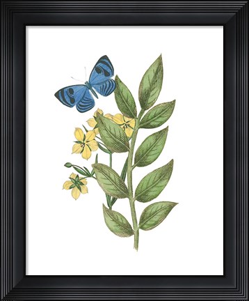 Framed Greenery Butterflies IV Print