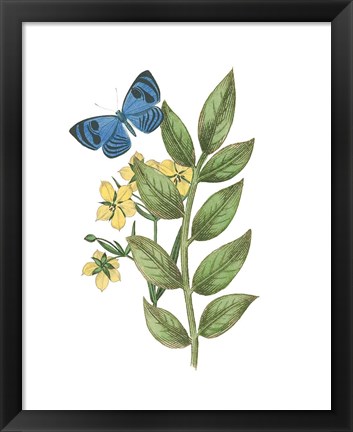 Framed Greenery Butterflies IV Print