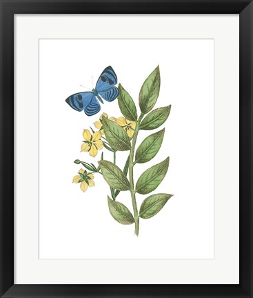 Framed Greenery Butterflies IV Print