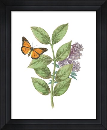 Framed Greenery Butterflies III Print