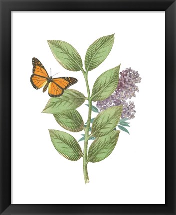 Framed Greenery Butterflies III Print