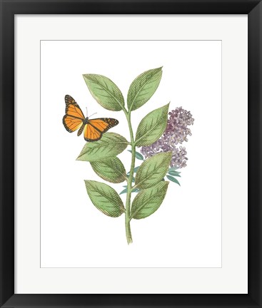 Framed Greenery Butterflies III Print