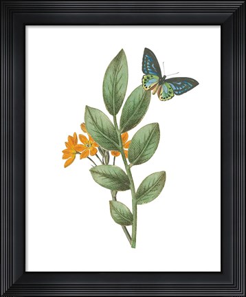 Framed Greenery Butterflies I Print