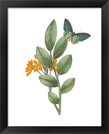 Framed Greenery Butterflies I Print