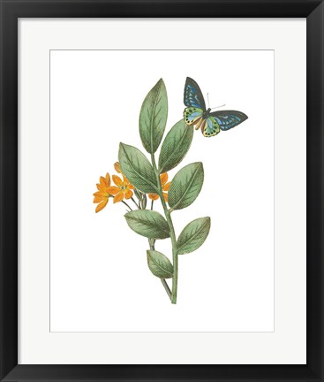 Framed Greenery Butterflies I Print