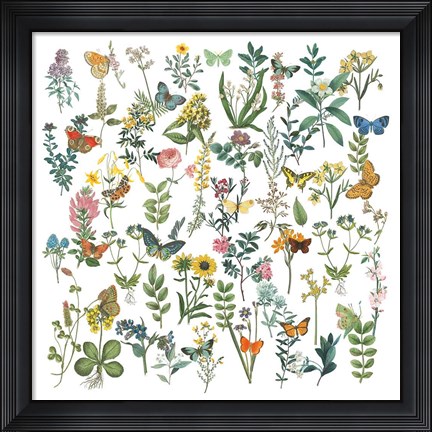 Framed Flowers and Butterflies Print