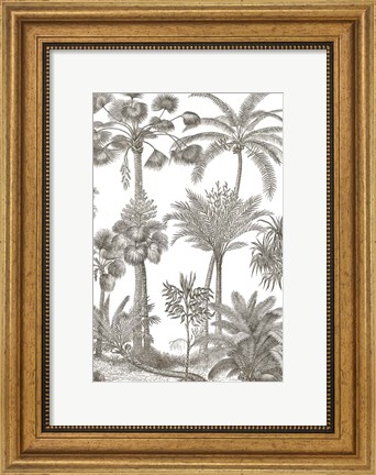 Framed Palm Oasis II Print