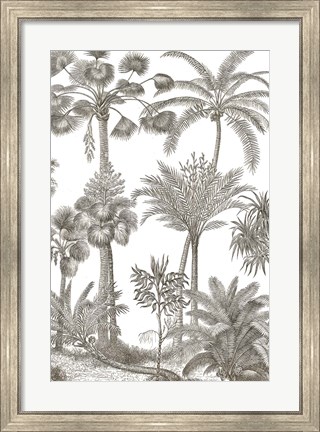 Framed Palm Oasis II Print