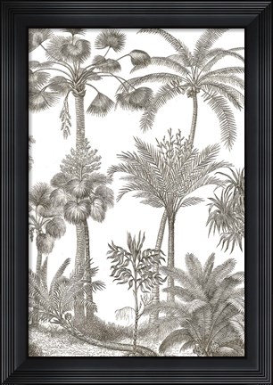 Framed Palm Oasis II Print