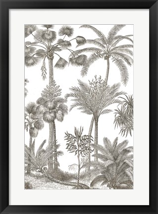 Framed Palm Oasis II Print