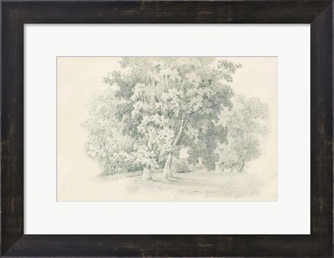 Framed Edge of the Woods Sketch Print