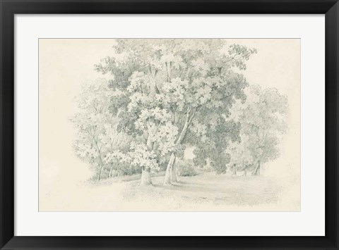 Framed Edge of the Woods Sketch Print