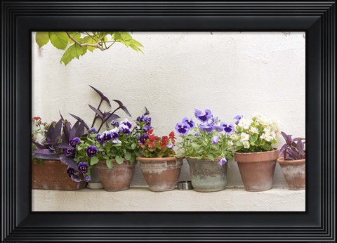 Framed Attractive Flowers In Clay Pots Print