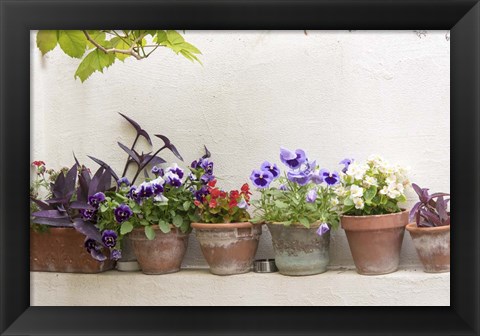 Framed Attractive Flowers In Clay Pots Print