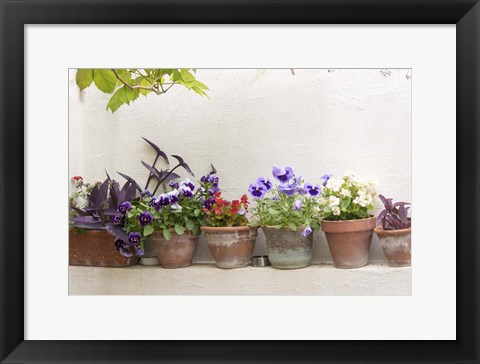 Framed Attractive Flowers In Clay Pots Print