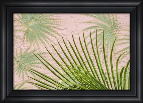 Framed Areca Palm In Front Of Painter Palm Mural Print