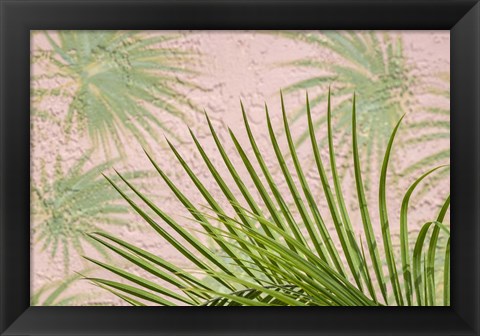 Framed Areca Palm In Front Of Painter Palm Mural Print