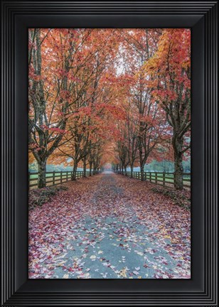 Framed Autumn Country Lane Print