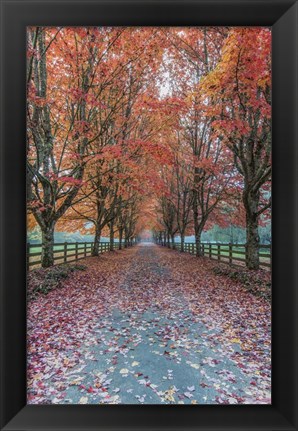 Framed Autumn Country Lane Print