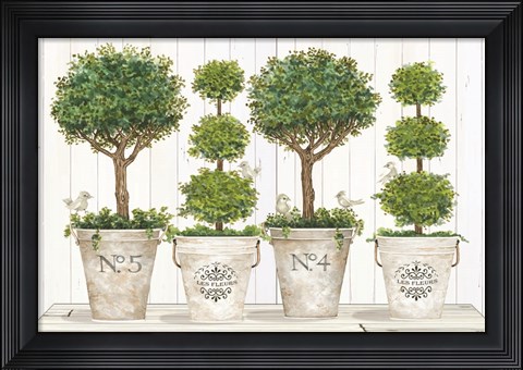 Framed Topiary Still Life Print