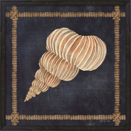 Framed Seashell on Navy III Print