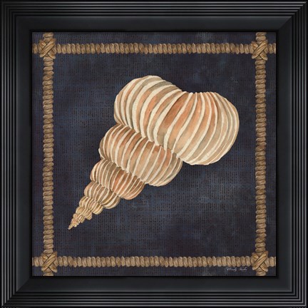 Framed Seashell on Navy III Print