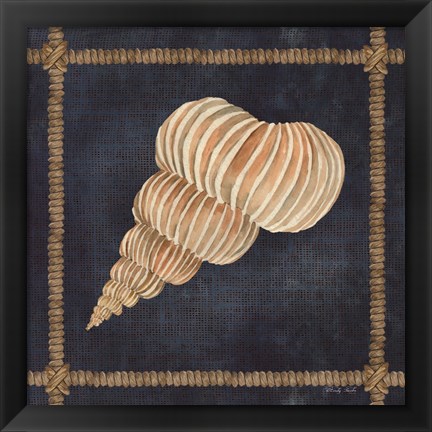 Framed Seashell on Navy III Print