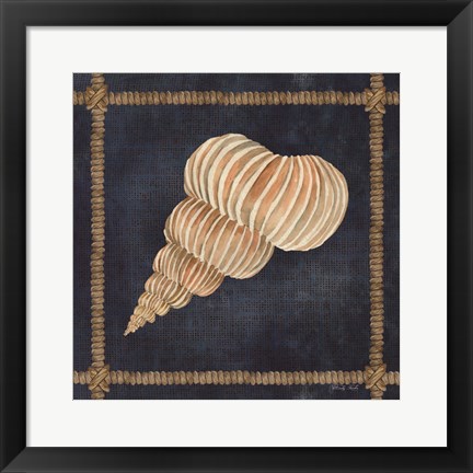 Framed Seashell on Navy III Print