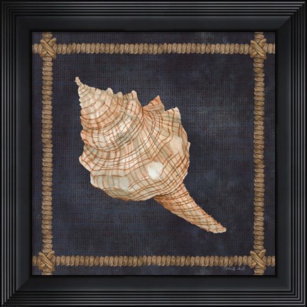 Framed Seashell on Navy IV Print