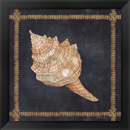 Framed Seashell on Navy IV Print